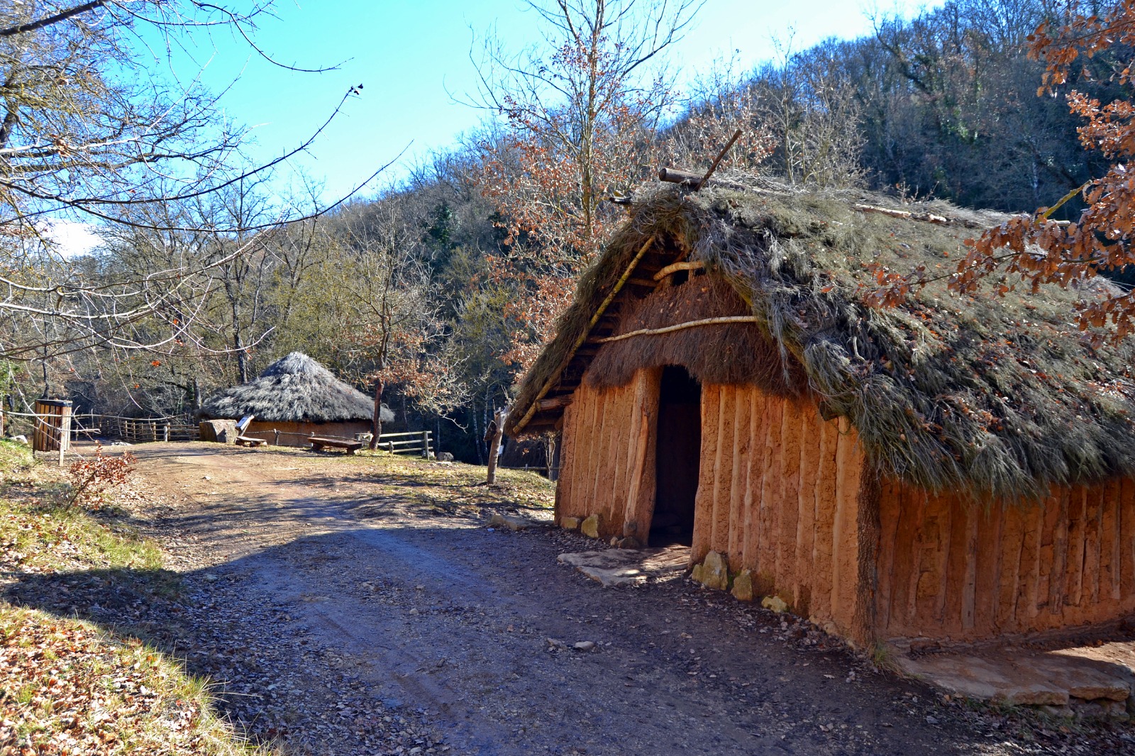 Aprovació del Projecte de millora del Patrimoni Natural del Parc Prehistòric de les Coves del Toll