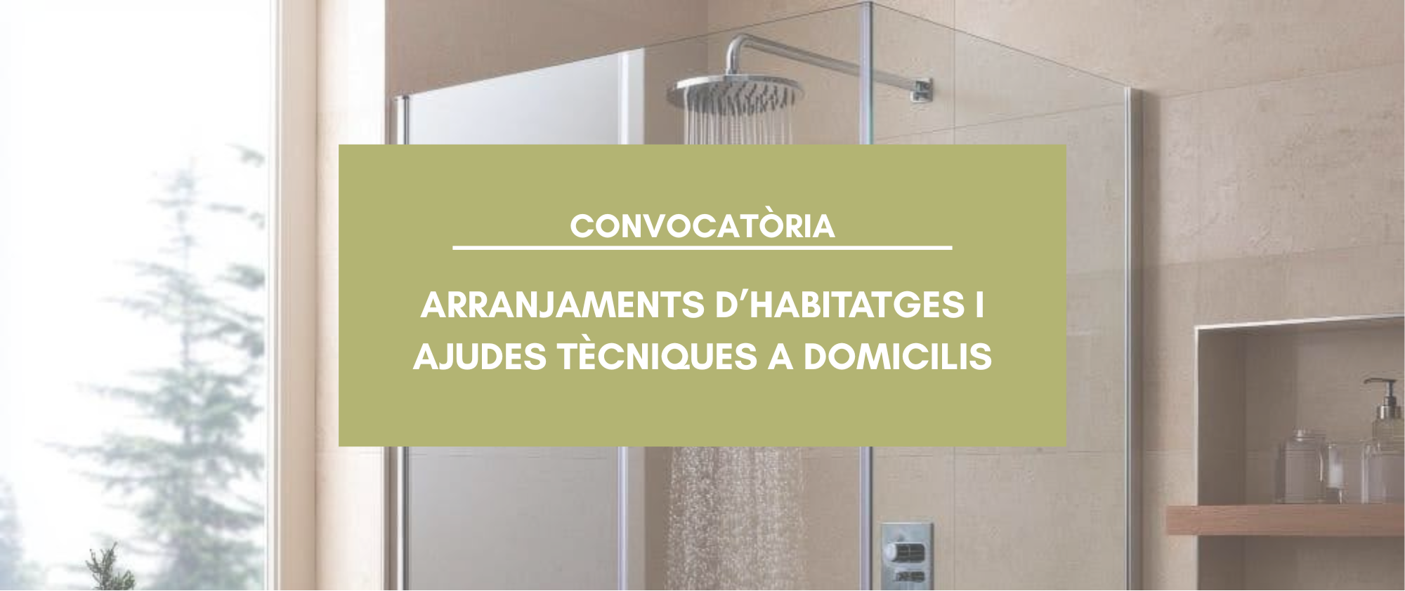 Convocatòria Programa d’arranjaments d’habitatges per a persones grans i persones amb necessitats especials