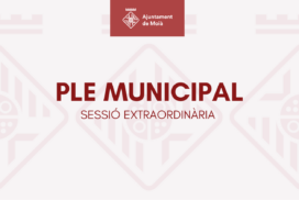 PLE MUNICIPAL: sessió extraordinària de divendres 9 d’octubre de 2026 a les 8.00 h